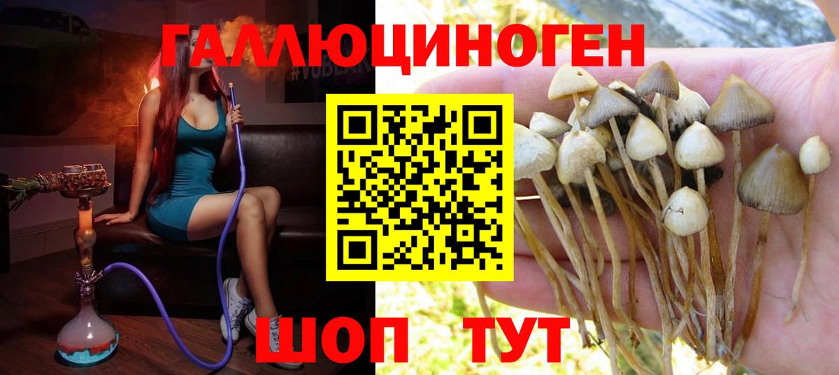 Галлюциногенные грибы ЛСД  Псилоцибиновые грибы мицелий  Вход с VPN  Заволжье 